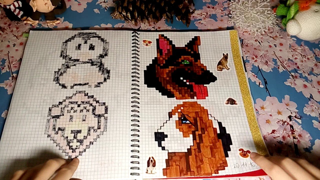 Рисуем по клеточкам ксюша