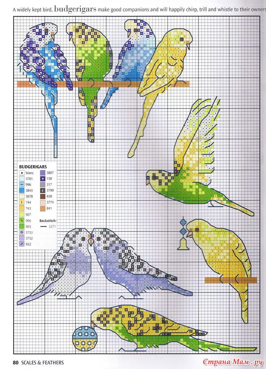 Вышивка крестом схема попугайчики