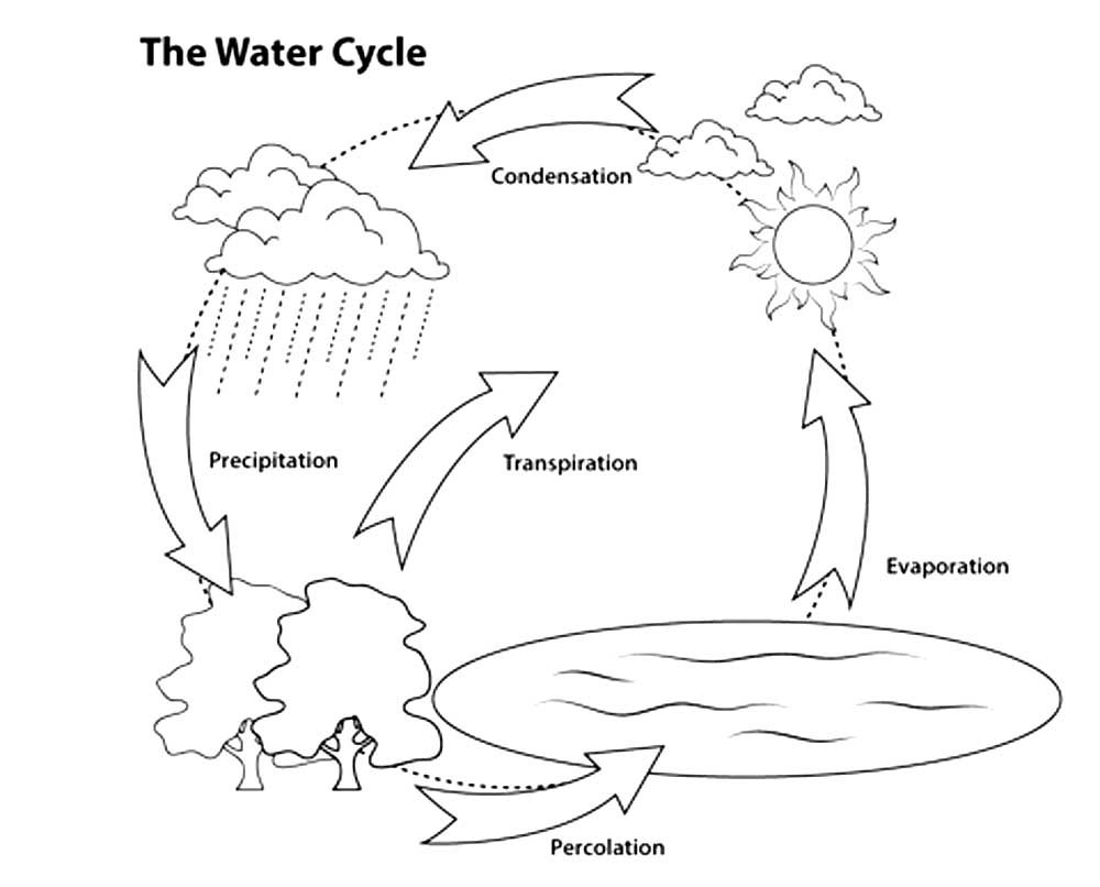 Схема круговорота воды в природе схема
