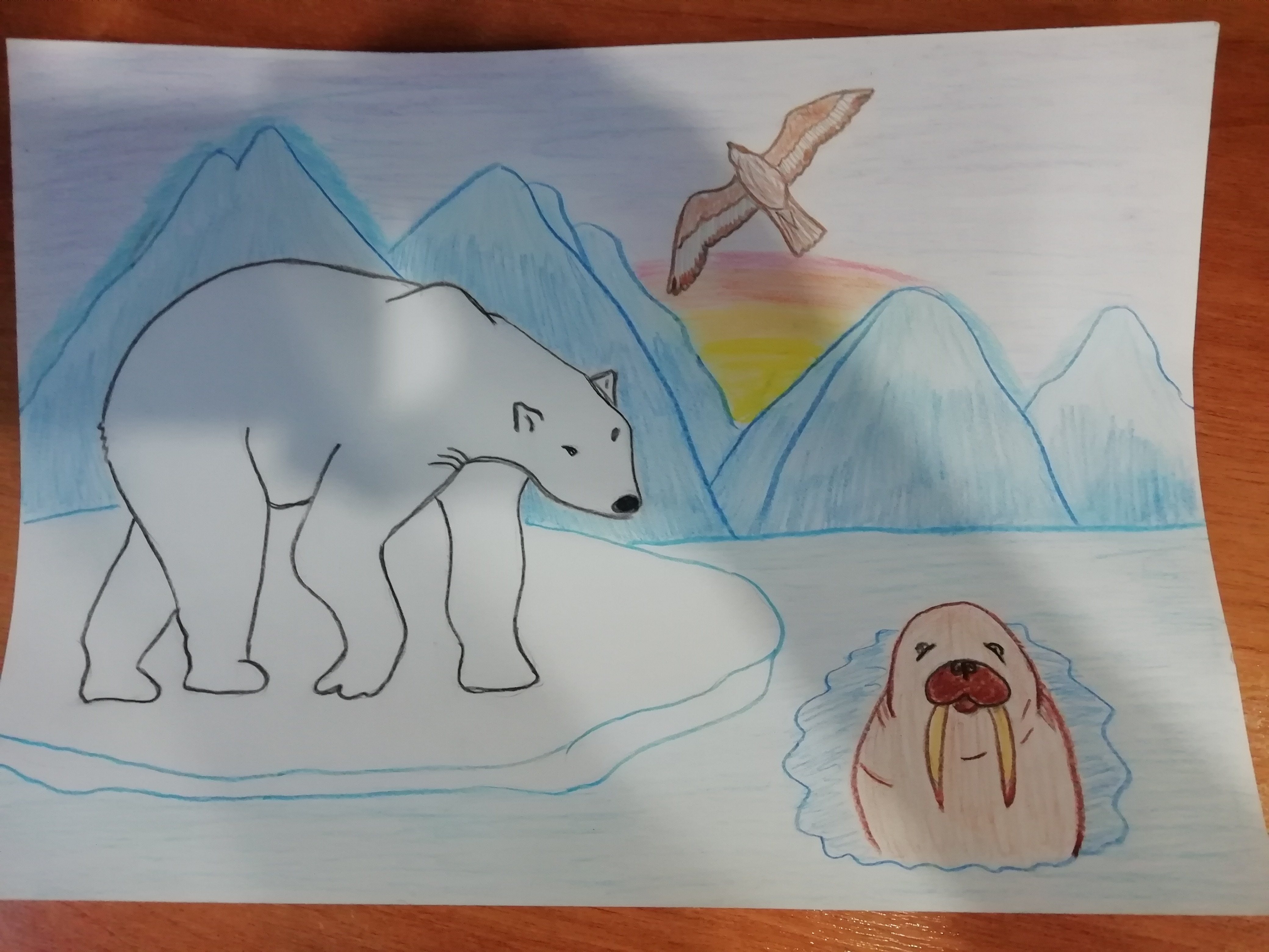 Рисование животные Арктики и Антарктики подготовительная группа