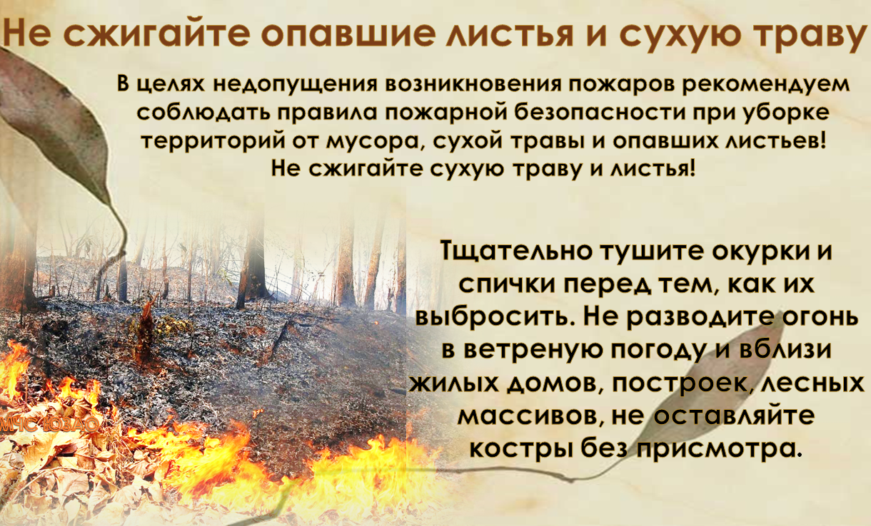 Не сжигать сухую траву. Сжигание листвы. Сжигание листьев и сухой травы. Поджигать сухие листья и траву;.