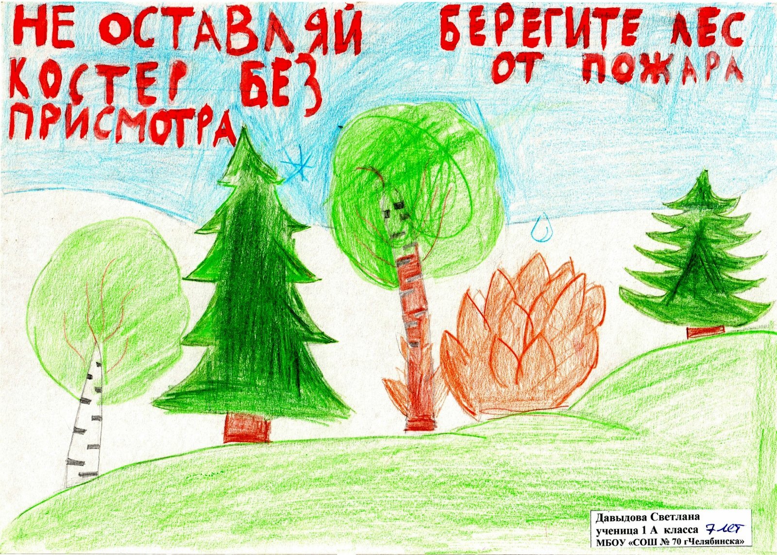 Плакат на тему берегите лес