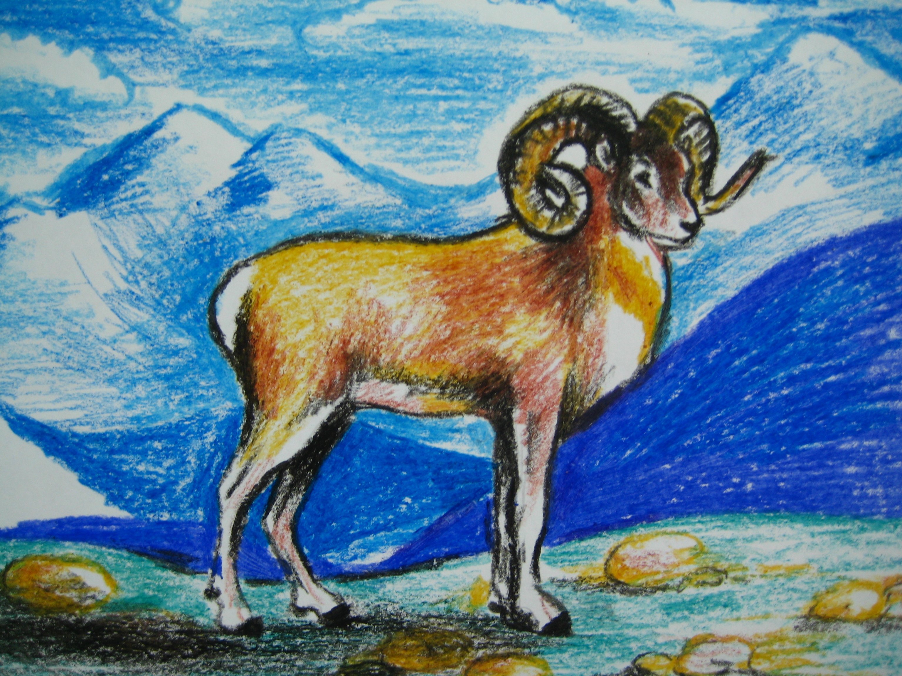 Алтайский горный баран