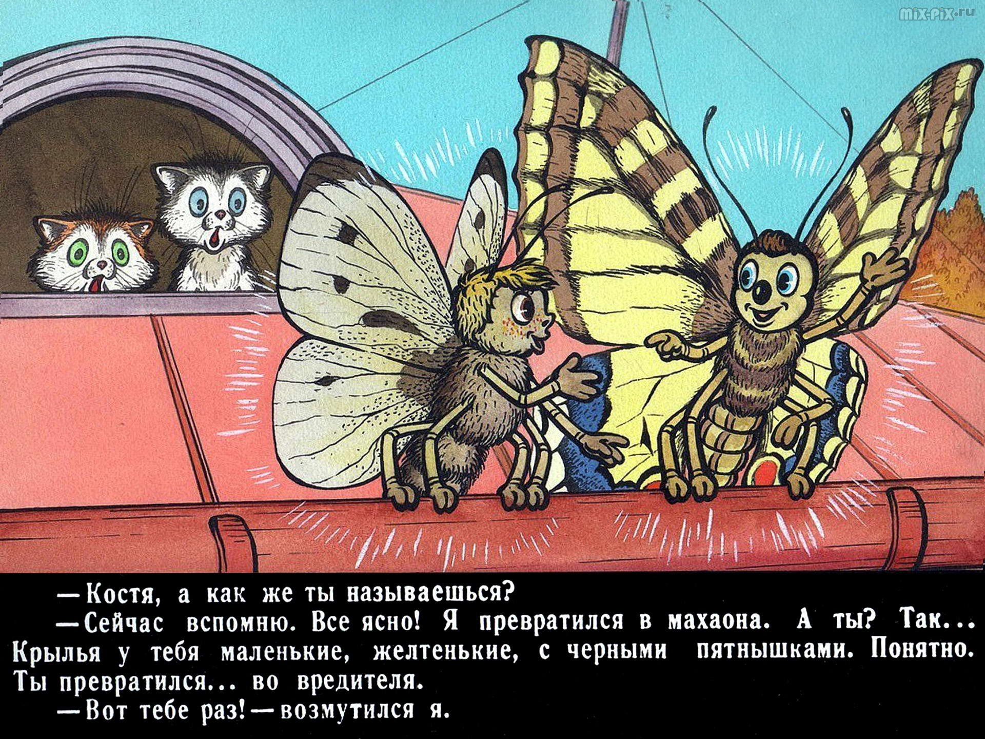 Иллюстрация к рассказу Баранкин будь человеком
