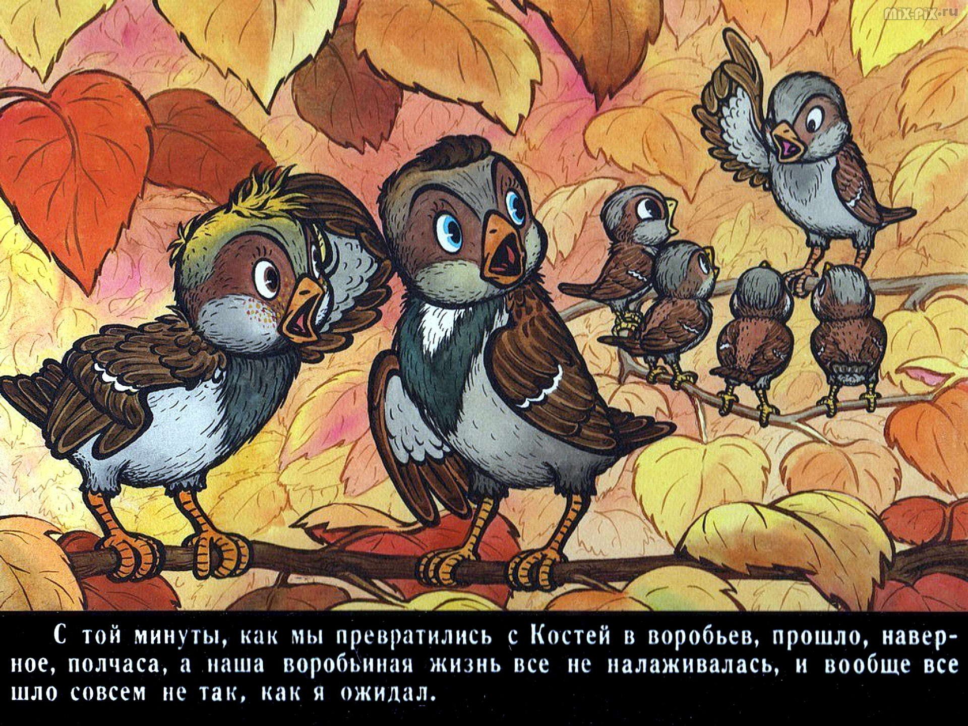 Краткое содержание баранкин будь. Медведев Баранкин. Союзмультфильм Баранкин будь человеком. Баранкин будь человеком книга.