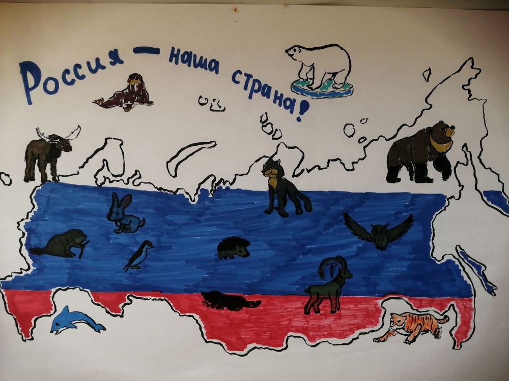 Территория россии рисунок