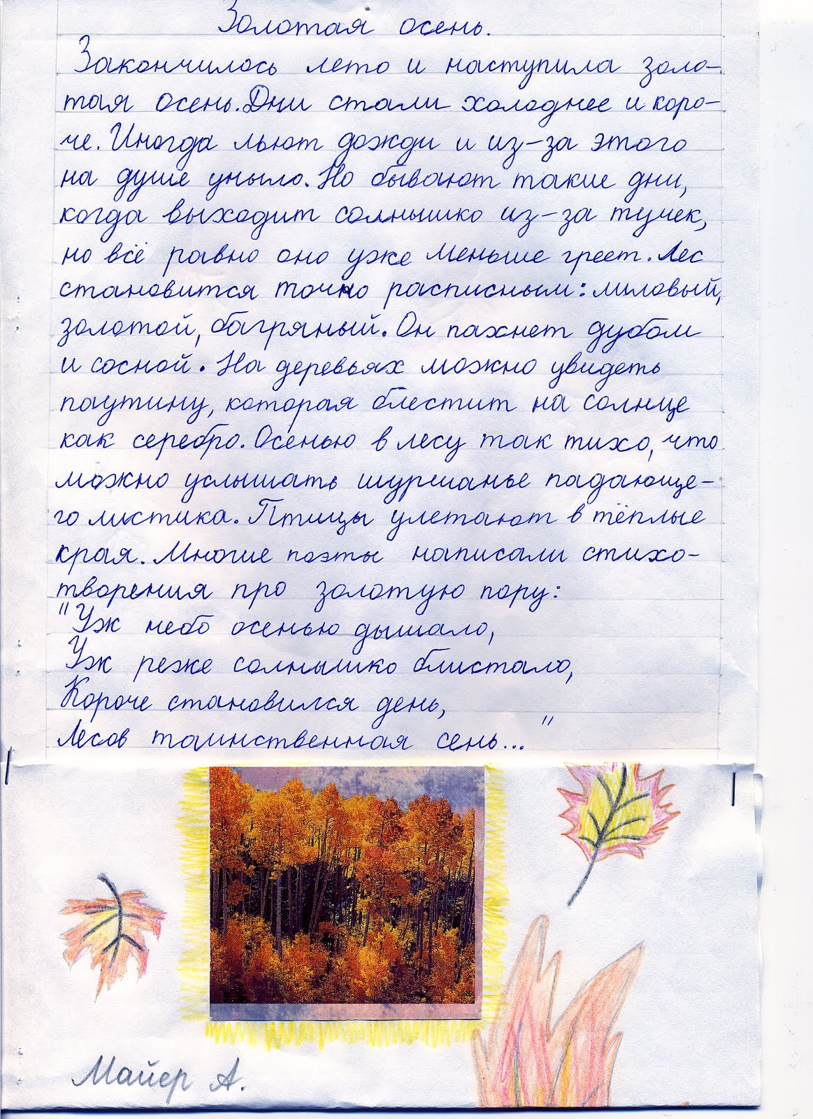 Сочинение на тему рисунки на листьях клена (46 фото) .