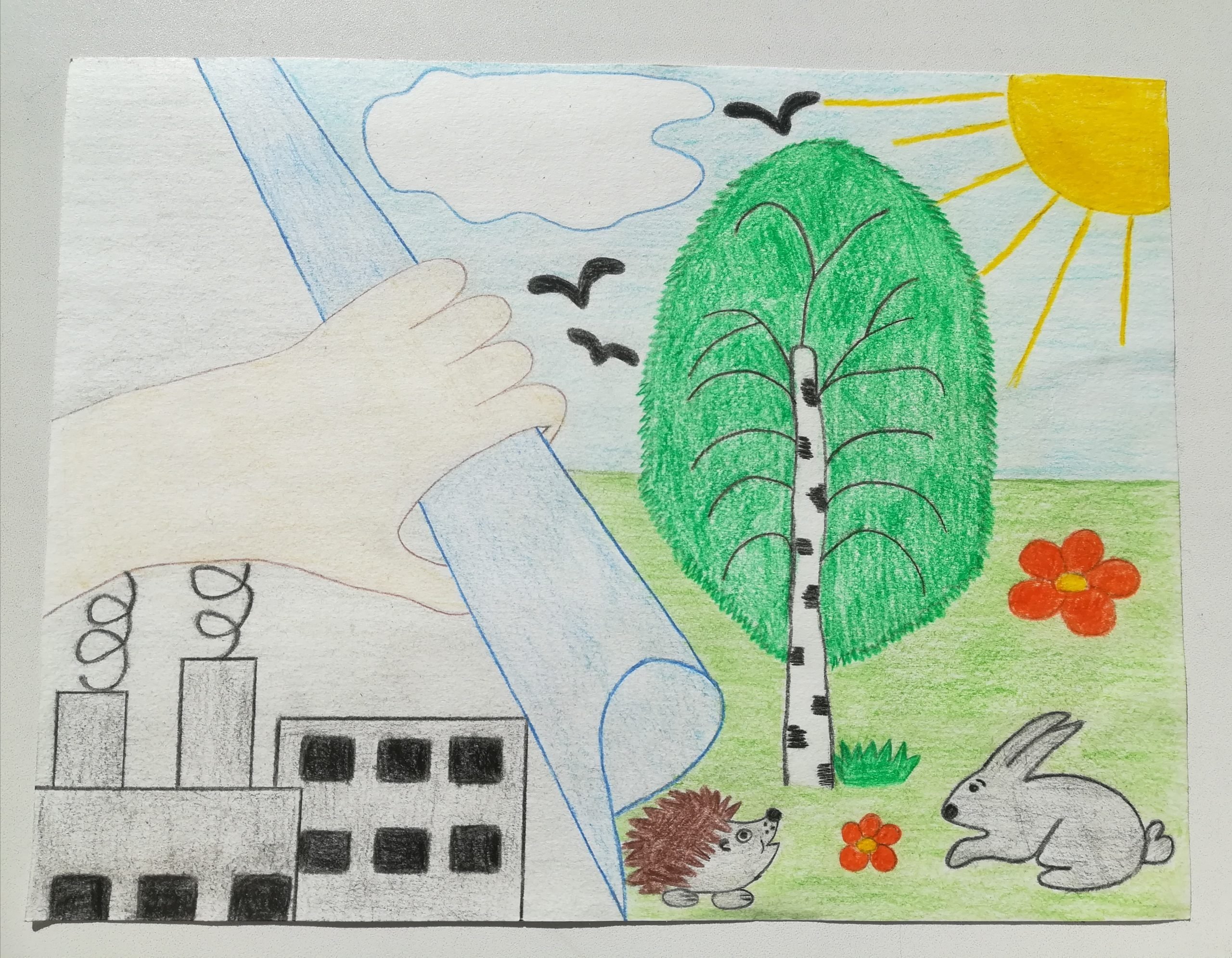 Рисунок в садик на тему экологическая среда города