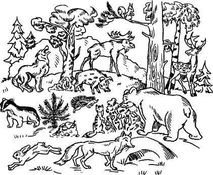 Раскраска "Лесные жители"