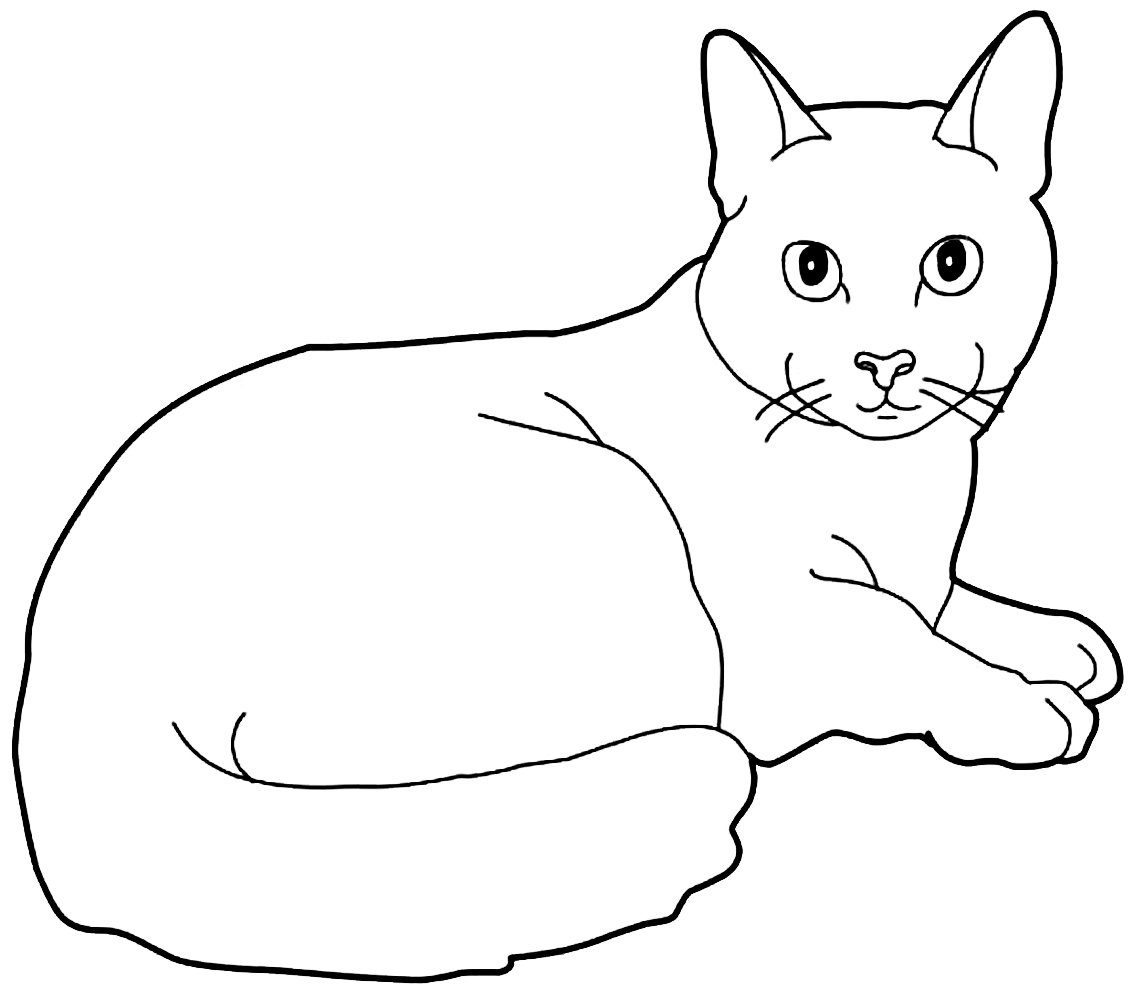 Раскраска домашняя кошка