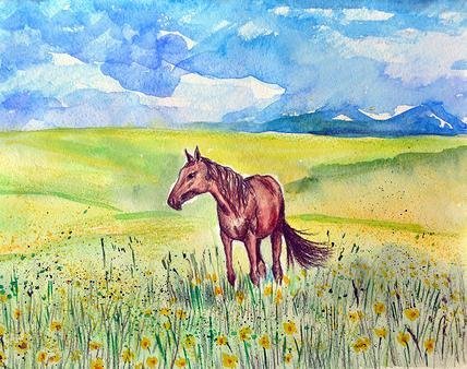 Рисунки на тему цвети моя калмыкия