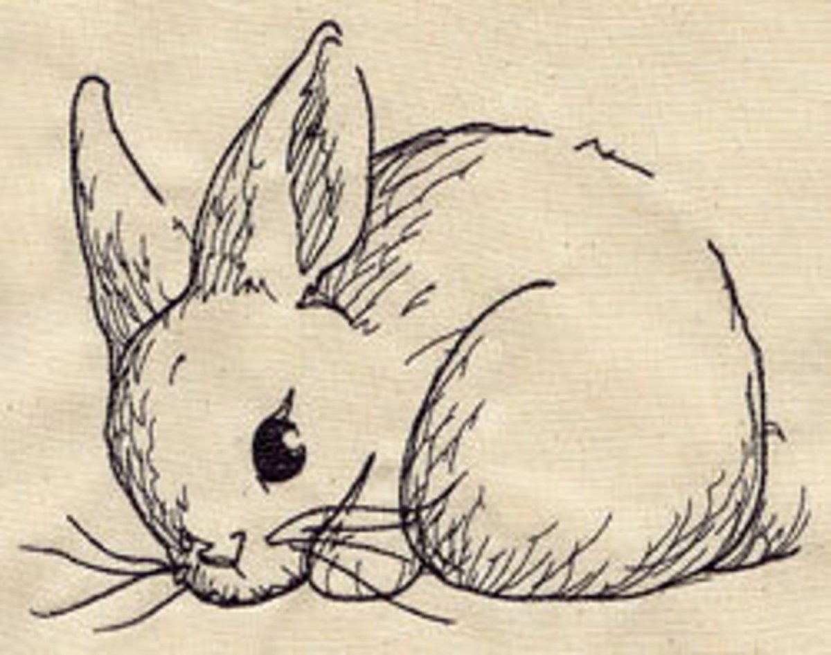 Картинки кролика для срисовки