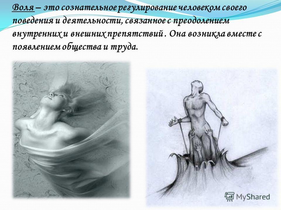 Рисунок на воле