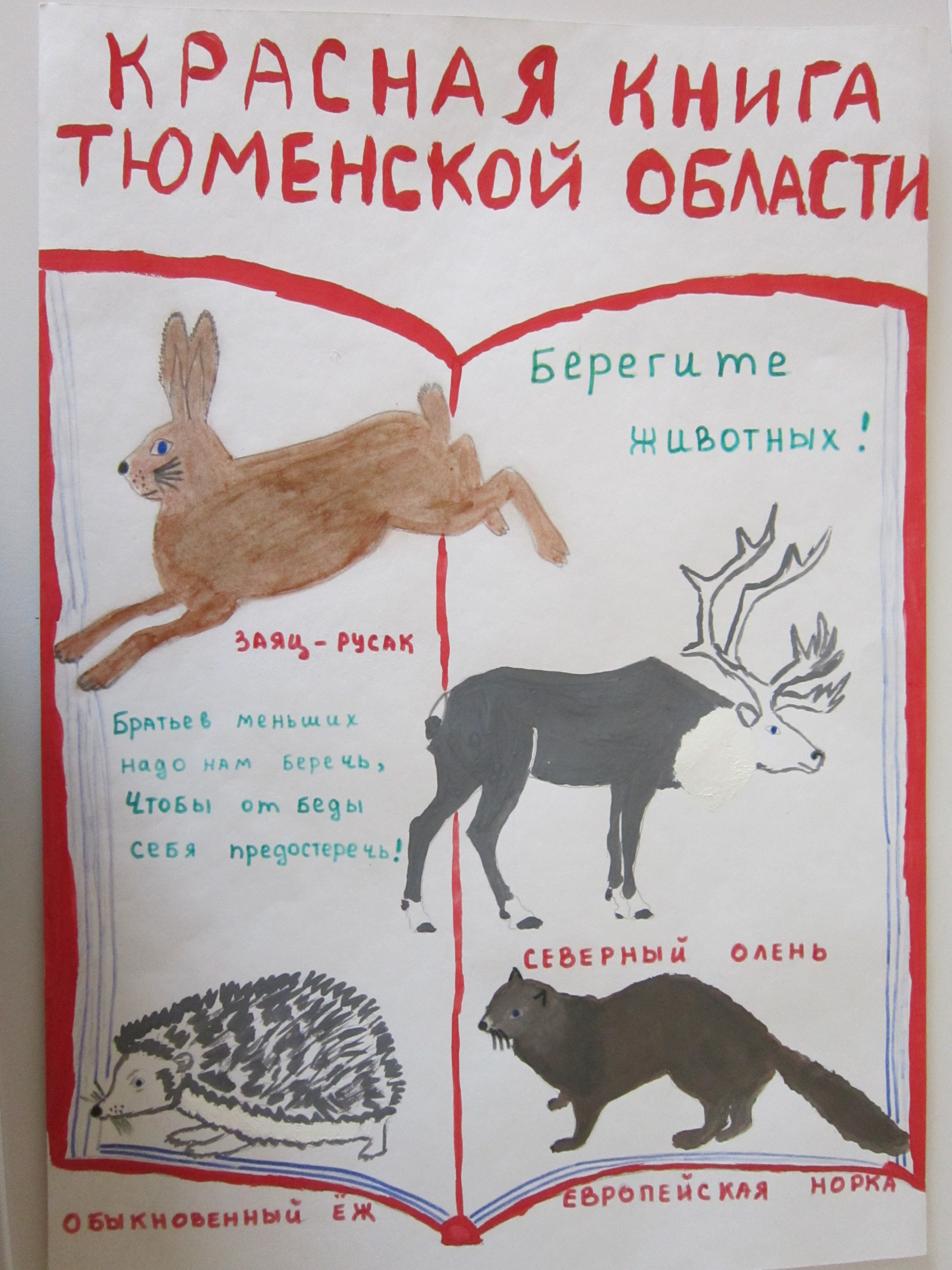 Животные из красной книги Тюменской области