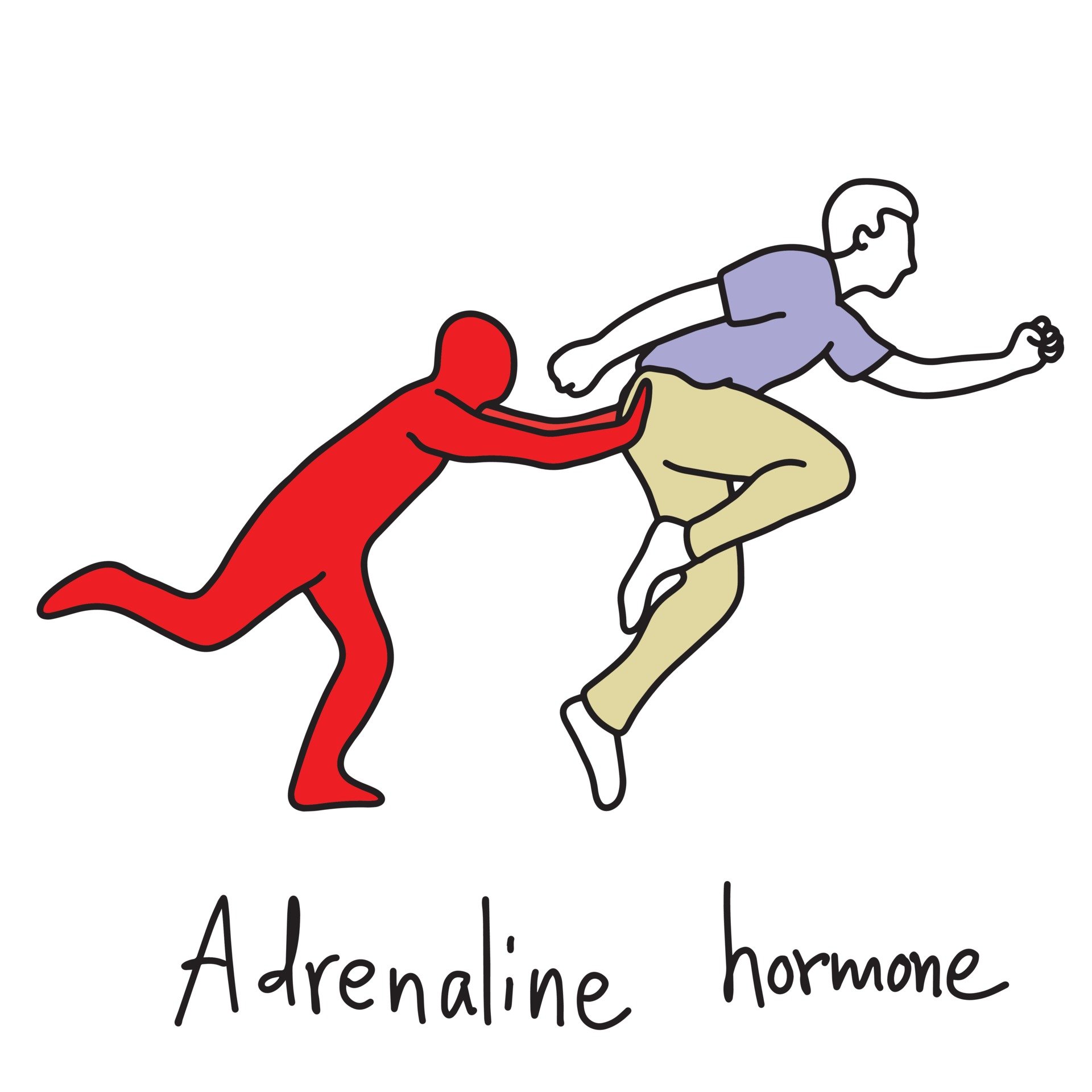 Adrenaline Hormone