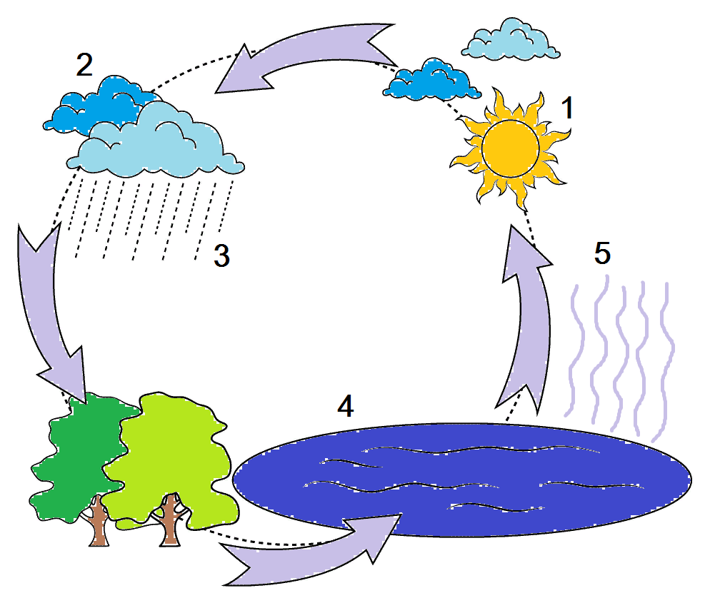 Схема круговорота воды. Круговорот воды в природе схема 3 класс окружающий. Круговорот воды простая схема. Гидрологический цикл круговорота воды. Нарисуй схема природа