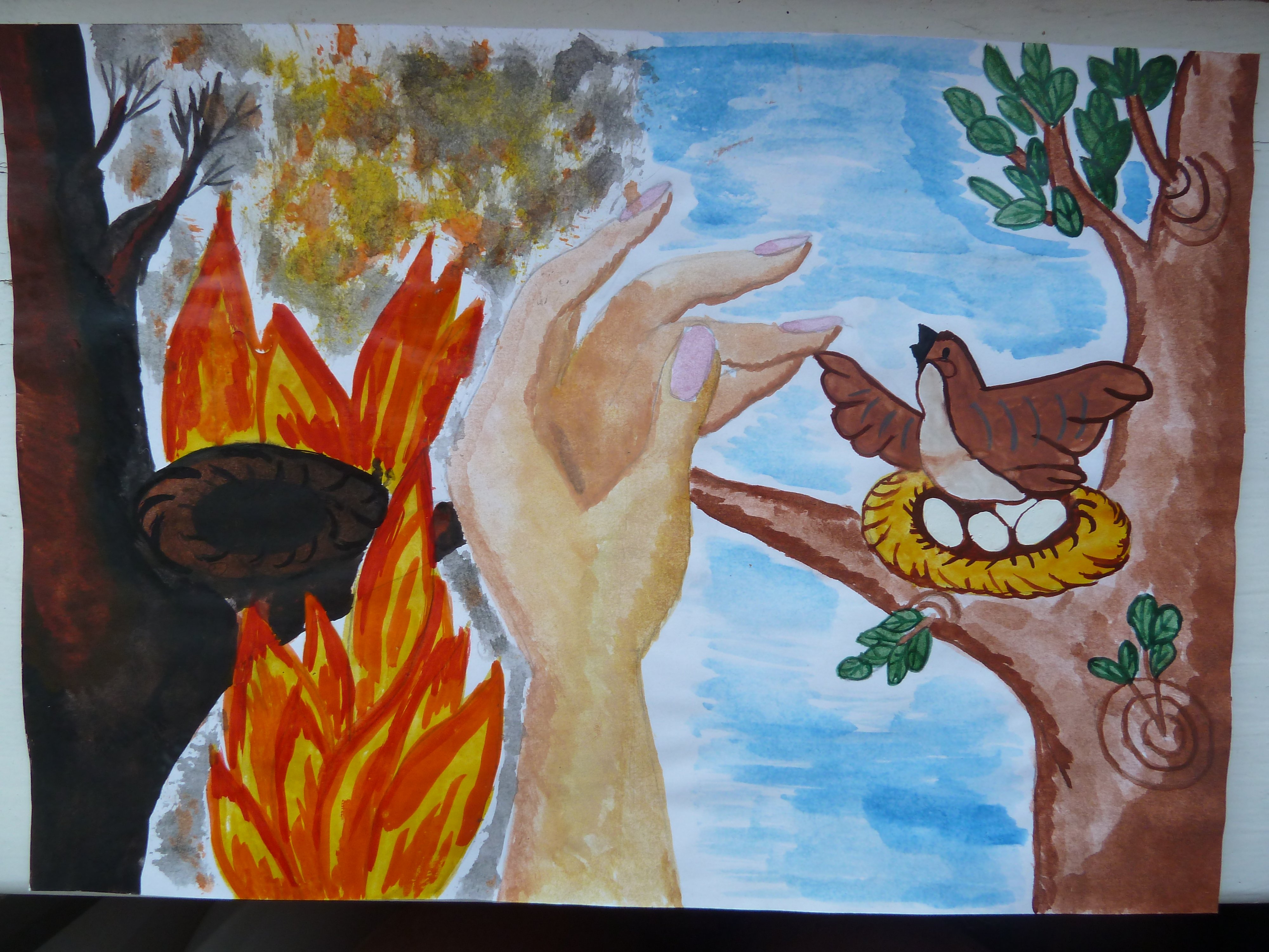 Конкурс рисунков береги лес от пожара