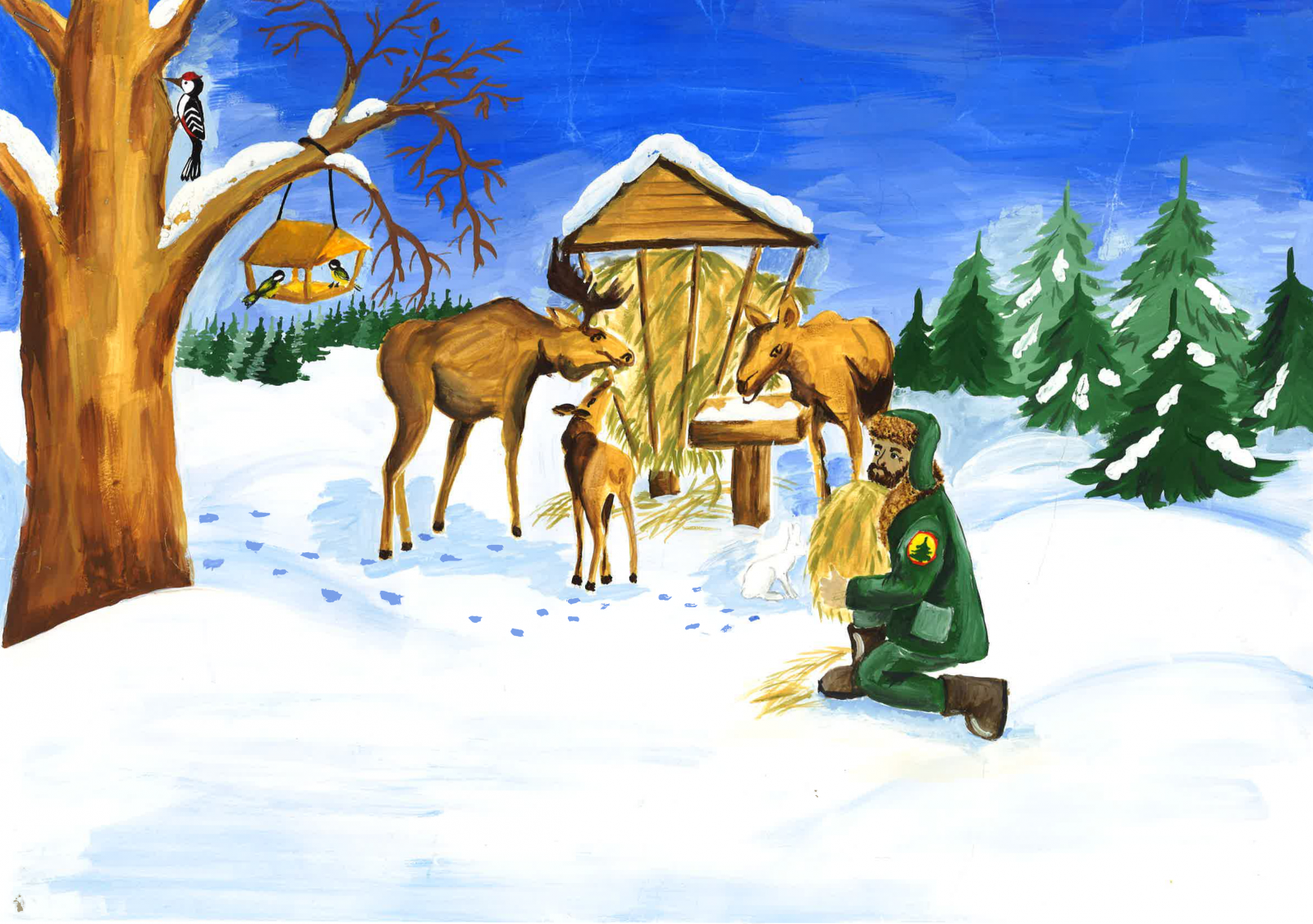 Животные зимой для детей. Картина лесника для детей. Лесник в лесу для дошкольников. Зима в лесу для дошкольников. Как человек помогает лесу