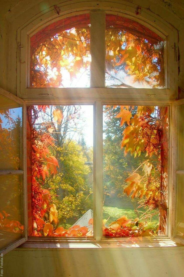 Окно с осенним пейзажем