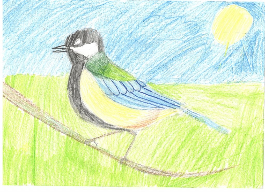 Рисунок к дню птиц