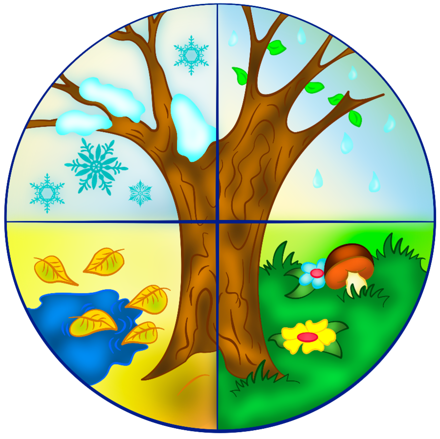 Времена года 1 класс изо. Времена года картинки для детей. Сезонное дерево. Сезонное дерево для детского сада. Сезонное дерево для детей.