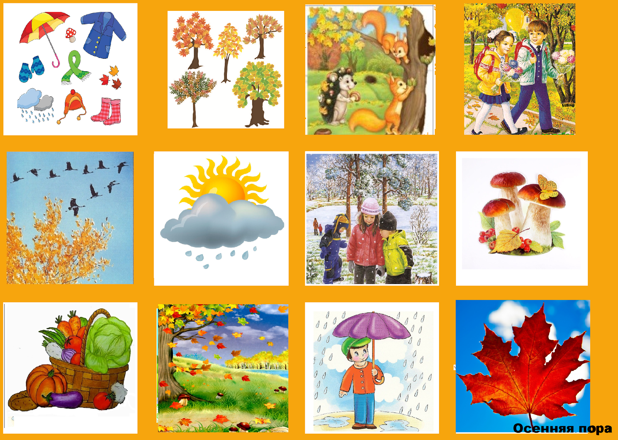 Схема описания осени. Признаки осени. Приметы осени для дошкольников. Осень картинки для дошкольников. Осенние признаки для детей в детском саду.