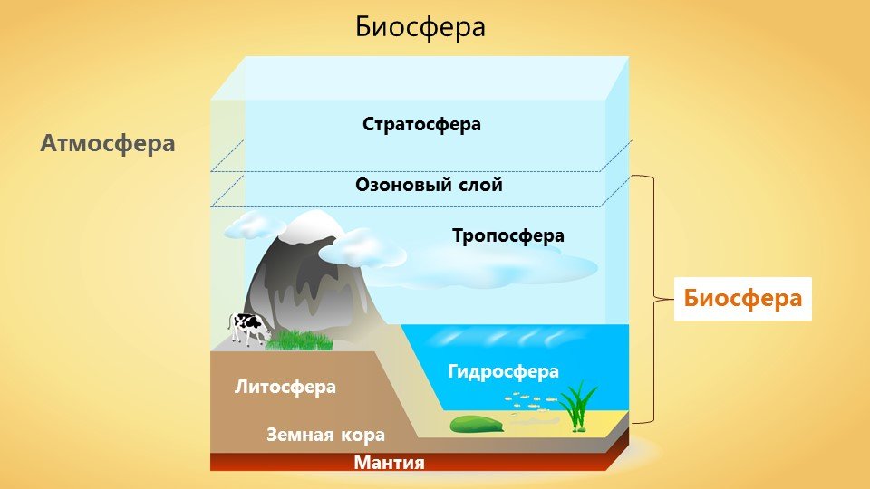 Литосфера входит в состав биосферы. Литосфера атмосфера гидросфера Биосфера стратосфера. Схема литосфера атмосфера гидросфера. Биосфера гидросфера атмосфера литосфера схема. Схема строения земли оболочки.
