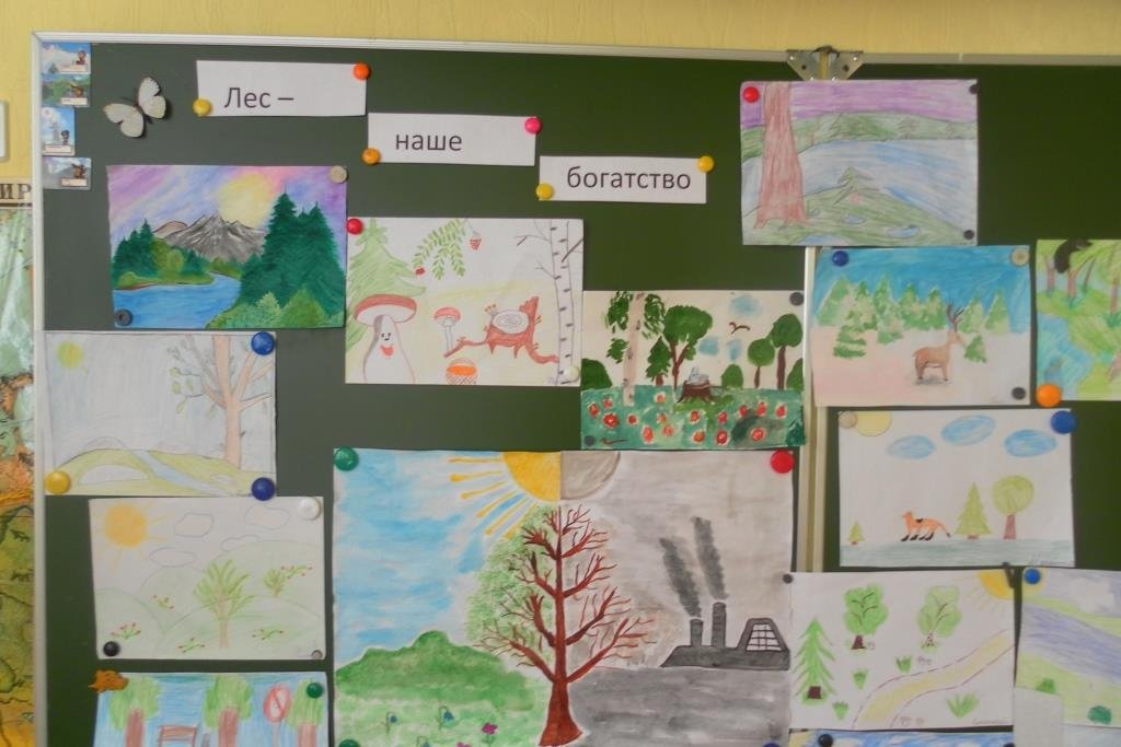День леса отчет в детском саду. Плакат лес наше богатство. Рисунок на тему лес наше богатство. Тема лес наше богатство. Выставка рисунков лес.