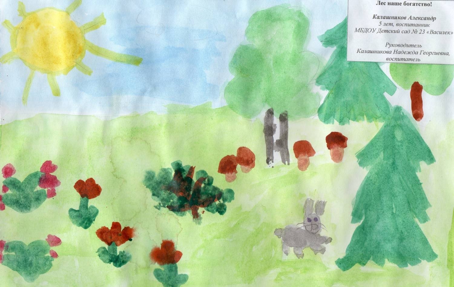 1 лес наше богатство. Лес наше богатство рисунки. Рисунок на тему лес. Детские работы лес наше богатство. Лес наше богатство рисунки для детей.
