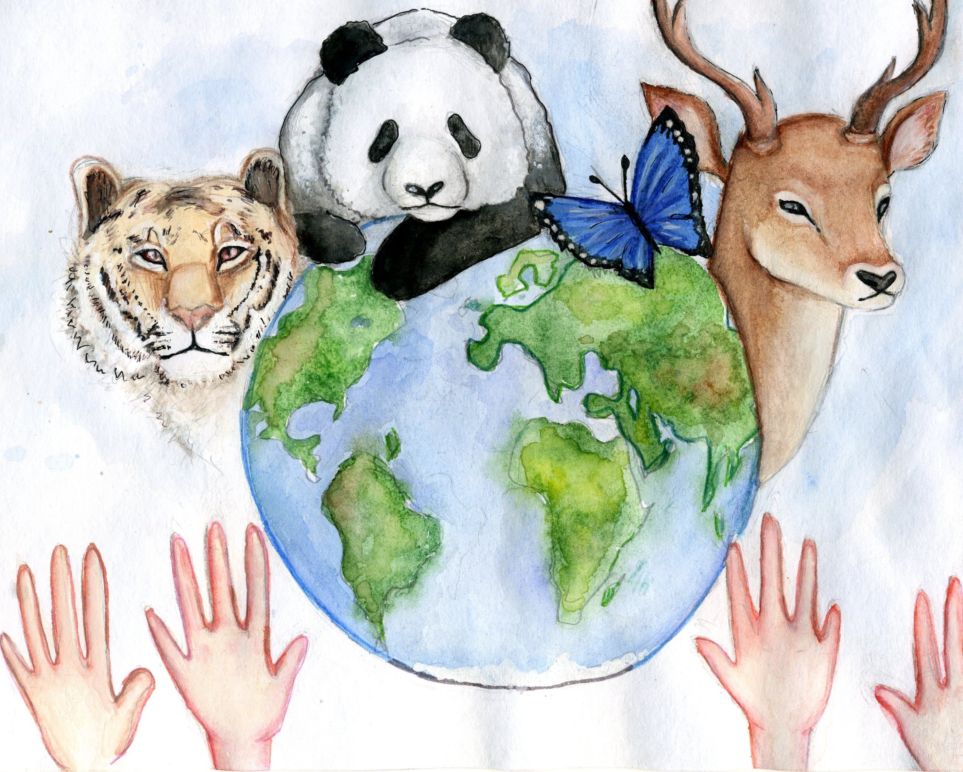 Сохраним самую красивую. Рисунок на тему Живая Планета. Рисунок на тему защита природы. Рисунок на тему защита земли. Сохраним животных.