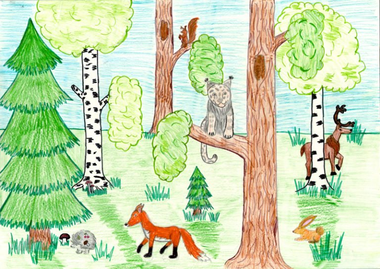 Лес и человек • Окружающий мир, Охрана природы и экология • Фоксфорд Учебник
