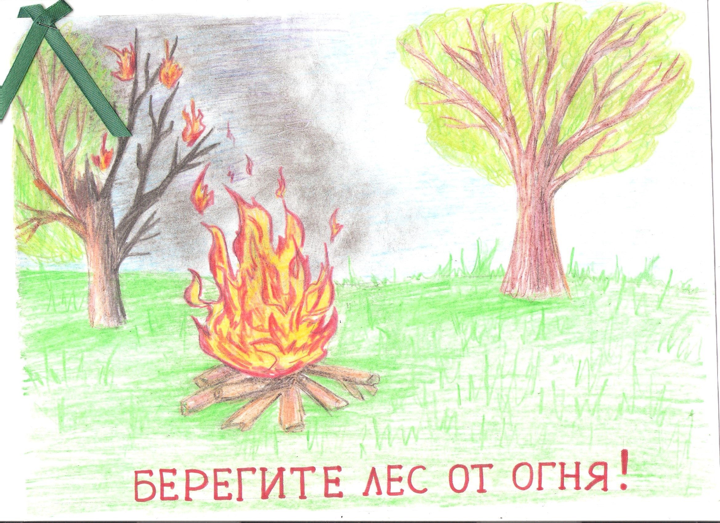 Береги лес от огня рисунки