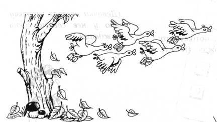 Раскраска птицы улетают на Юг