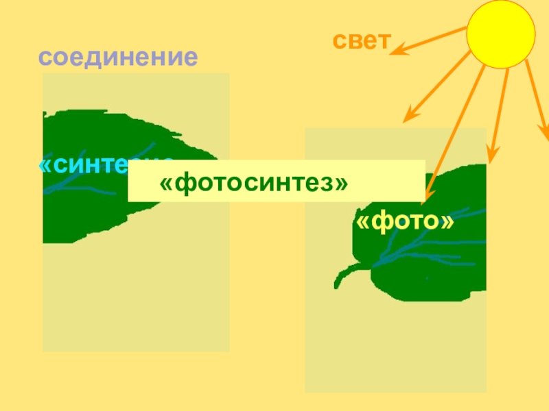 Схема процесса фотосинтеза рисунок. Фотосинтез рисунок схема. Рисунок схема фотосинтез 6 класс. Схема фотосинтеза 6 класс биология. Схема процесса фотосинтеза 6 класс биология.