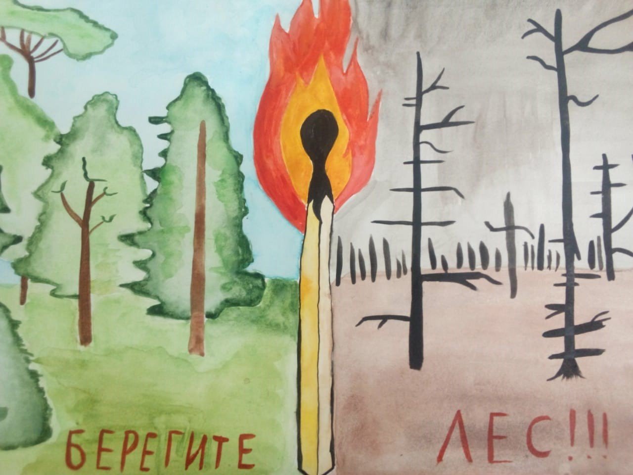 Рисунок на тему охрана лесов