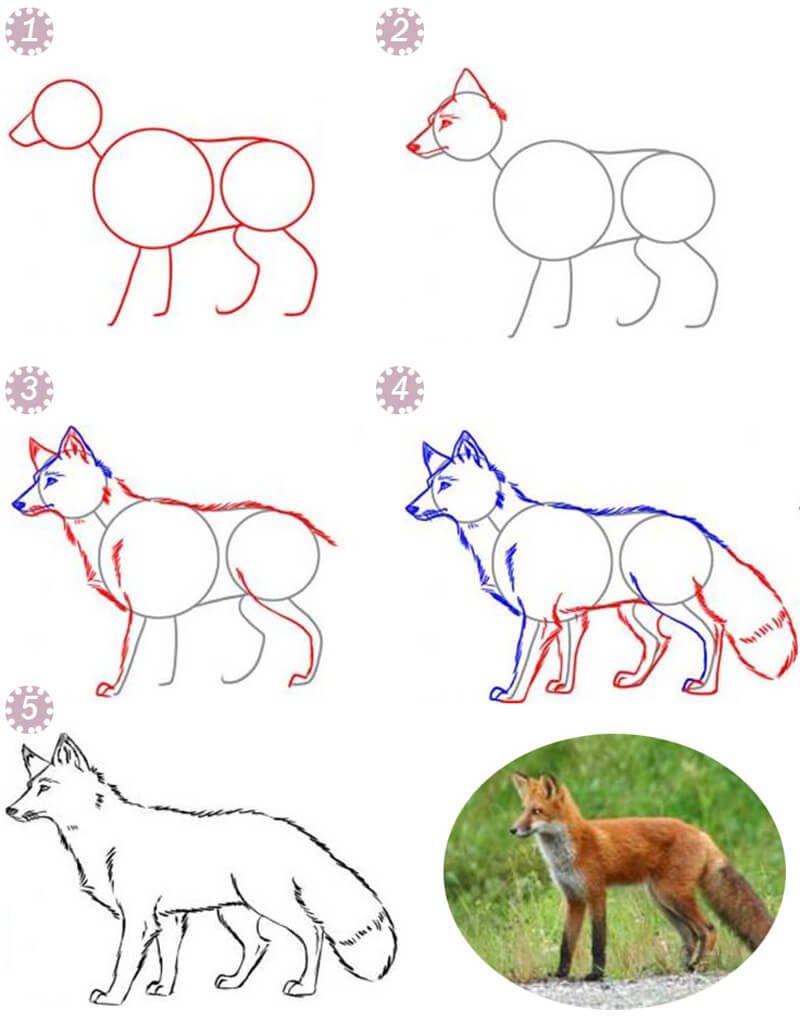 Покажи как поэтапно нарисовать. Поэтапное рисование животных. Пошаговые рисунки карандашом. Рисунки животных легкие. Поэтапное рисование лисы.