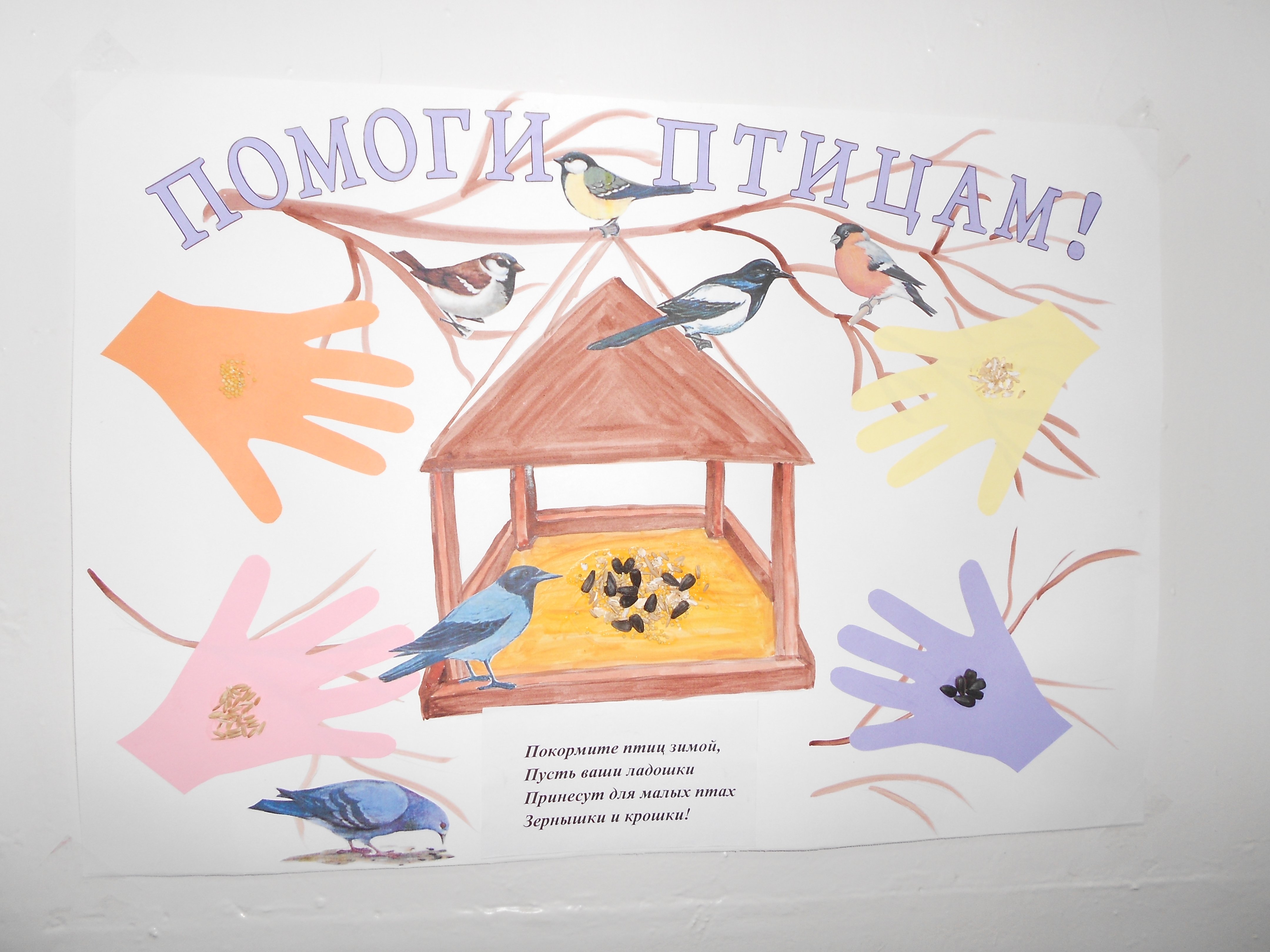 Плакат на тему птицы