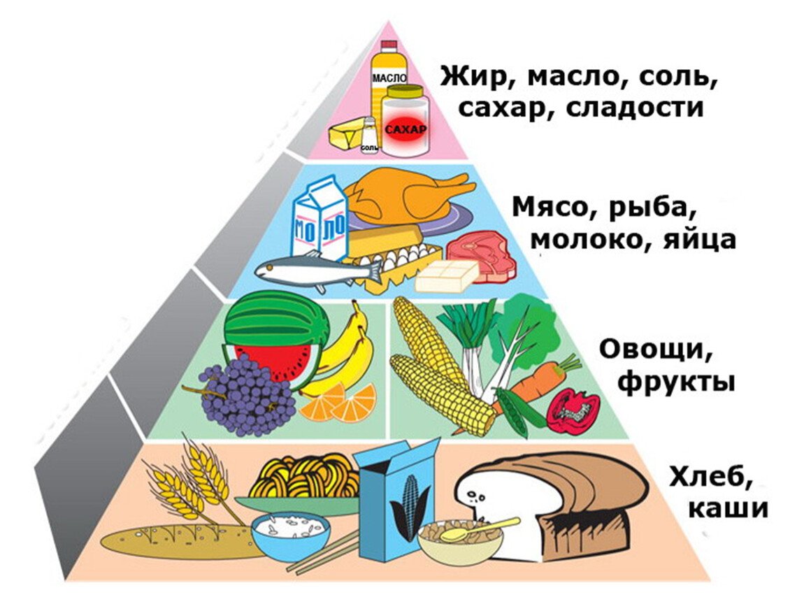 Пирамида питания пищевая пирамида школьника