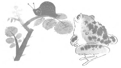 Серая Звездочка Мелик Пашаев