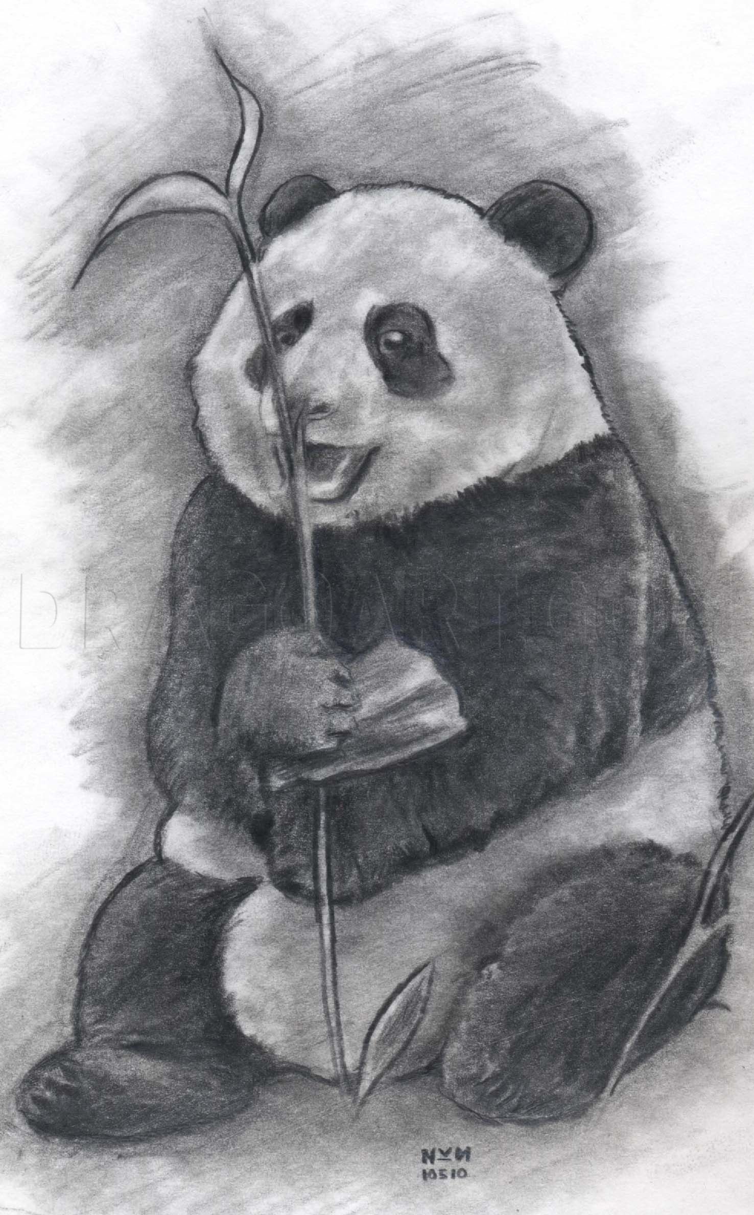 Рисунок карандашом милые Панда
