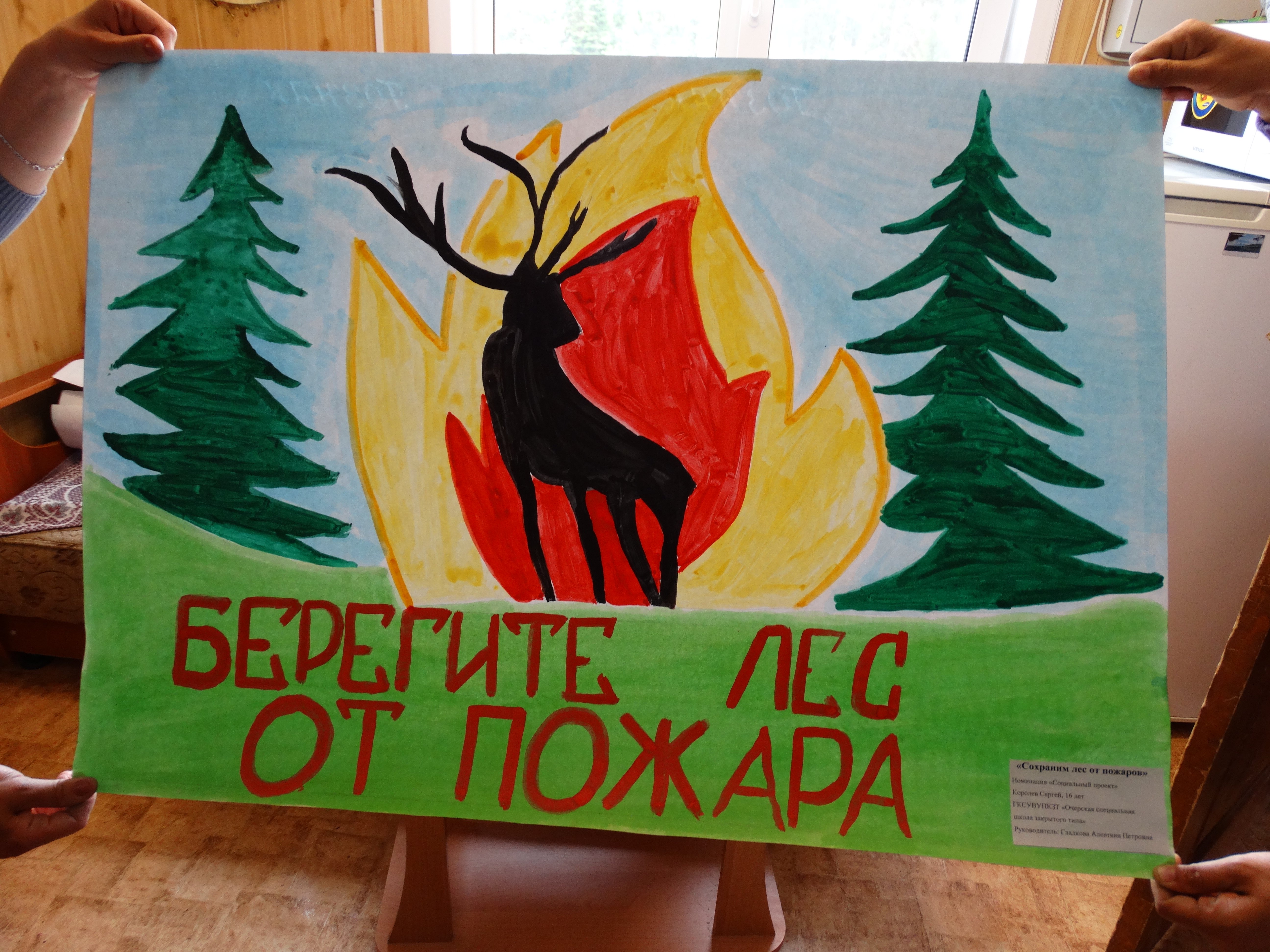 Плакат защита леса