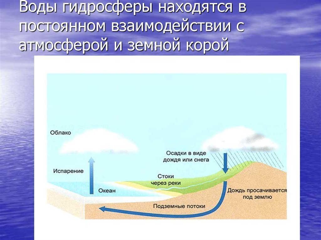 Виды гидросфер. Круговорот воды в гидросфере. Гидросфера рисунок. Гидросфера и человек рисунок. Взаимодействие атмосферы и гидросферы.