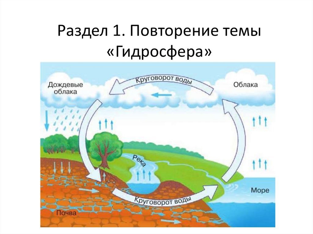 Этапы формирования круговорота воды