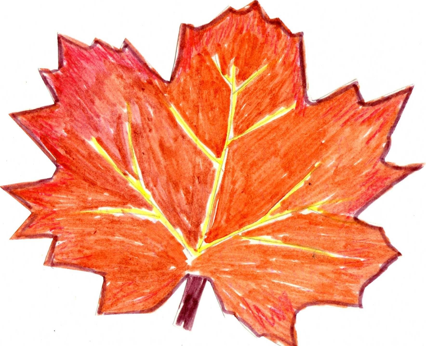 Кленовый лист цветными карандашами