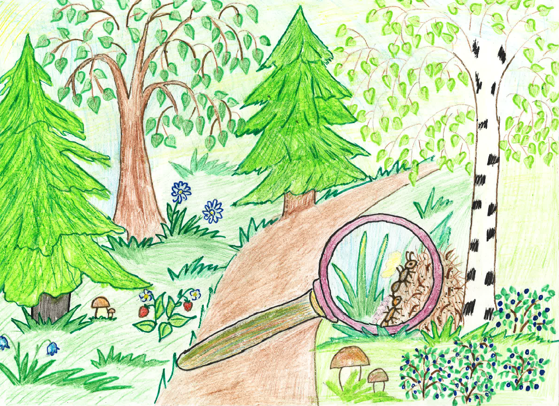 Рисование леса. Рисунок леса. Рисунок леса для детей. Рисунок на тему природа. Рисование леса для детей.