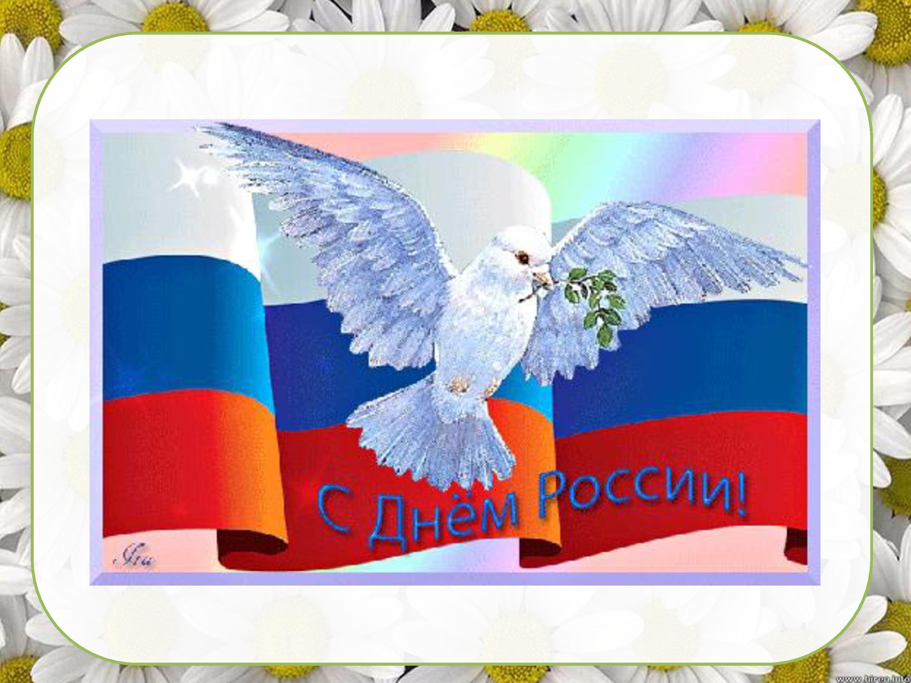 Голубь с российским флагом