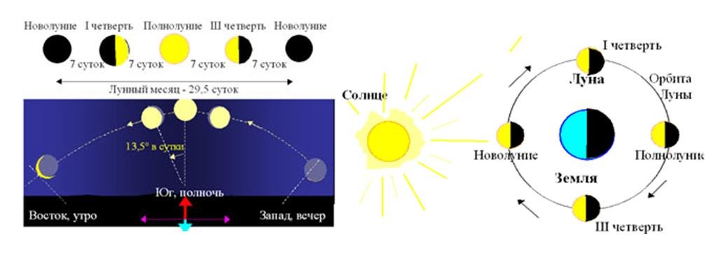 Продолжительность дня луны. Фазы Луны схема. Движение солнца по времени суток. Расположение солнца по временам года. Смена времени суток схема.