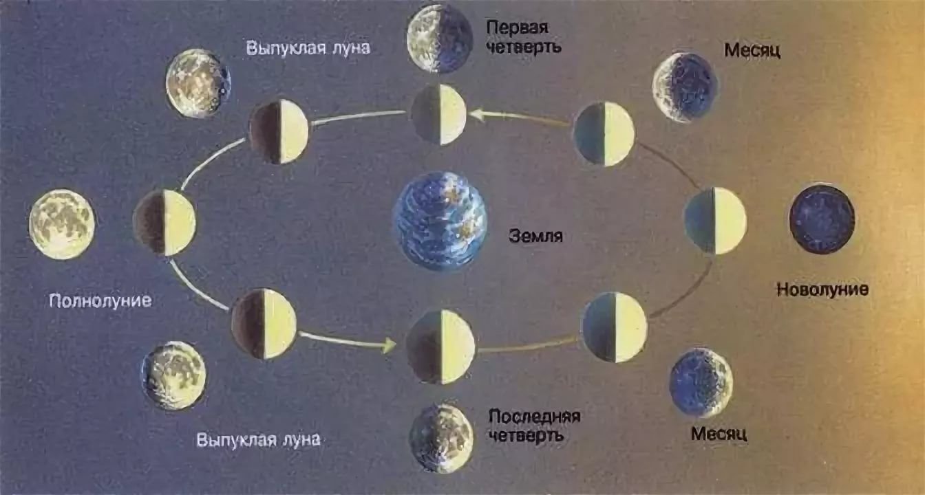 Схема луны в течение месяца. Движение Луны вокруг земли с изображением фаз Луны. Фазы Луны относительно земли и солнца расположение. Положение Луны относительно земли и солнца. Движение Луны по небосводу.
