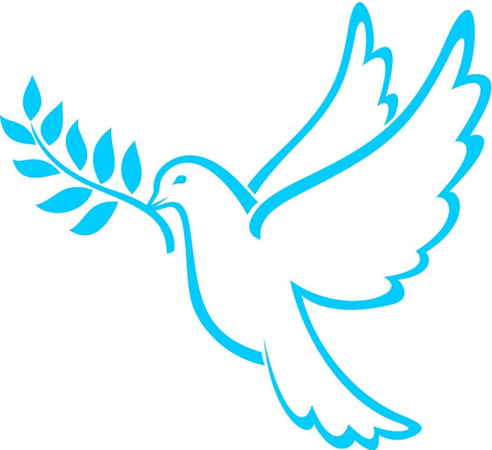 Белый голубь символ мира