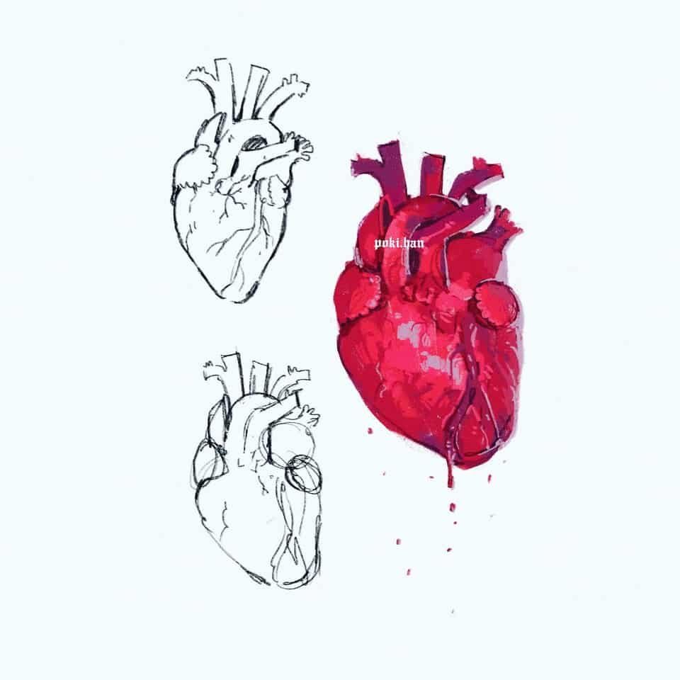 Человеческое сердце в руке референс